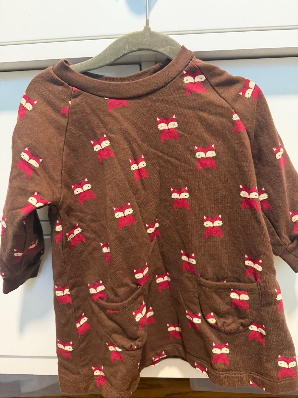 Little Green Radicals Fleece Fox Dress